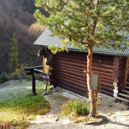 סלאבסקה Bungalow In Mauntains With Chan Near The Forest מראה חיצוני תמונה